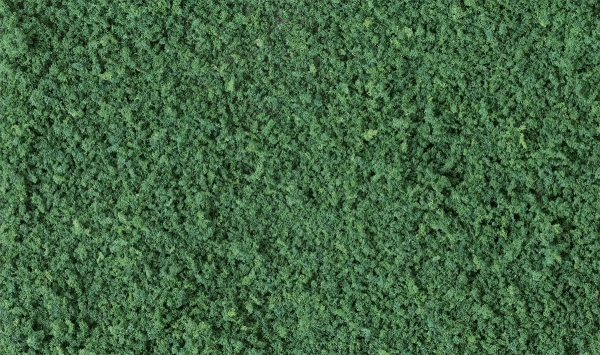 Woodland Scenics T65 Streumaterial grob dunkelgrün Coarse Turf dark green