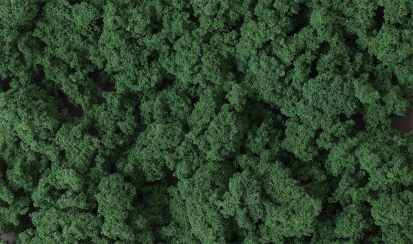 Woodland Scenics FC684 Laubklumpen dunkelgrün Clump-Foliage dark green